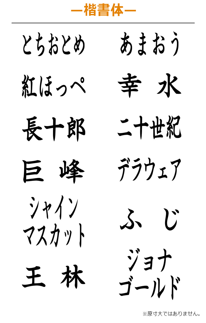 シャチハタ 角型印 