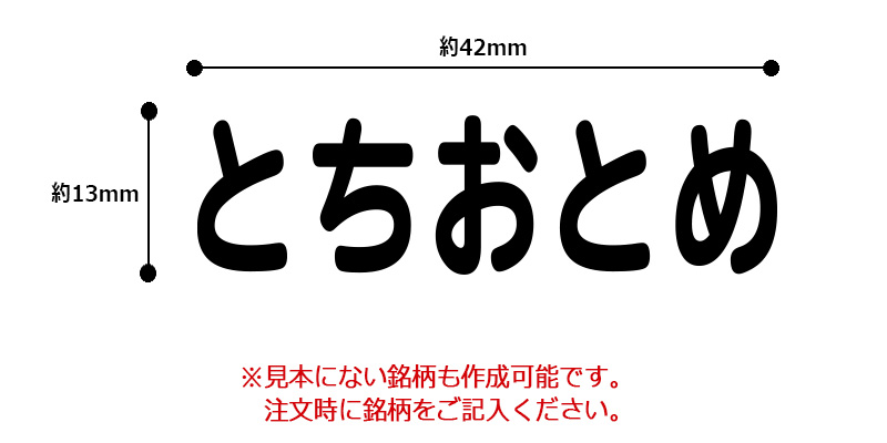 シャチハタ 角型印 